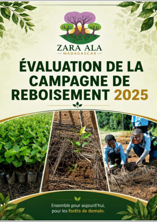 Evaluation de la campagne de reboisement 2025