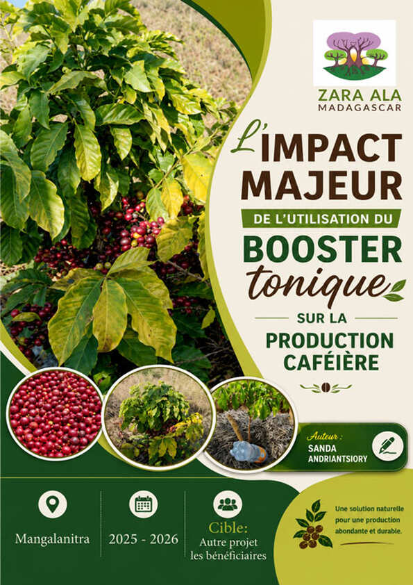 Impact majeur de l'utilisation du booster tonique sur la production caféière