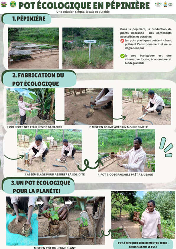 Pot écologique en pépinière : une solution simple, locale et durable