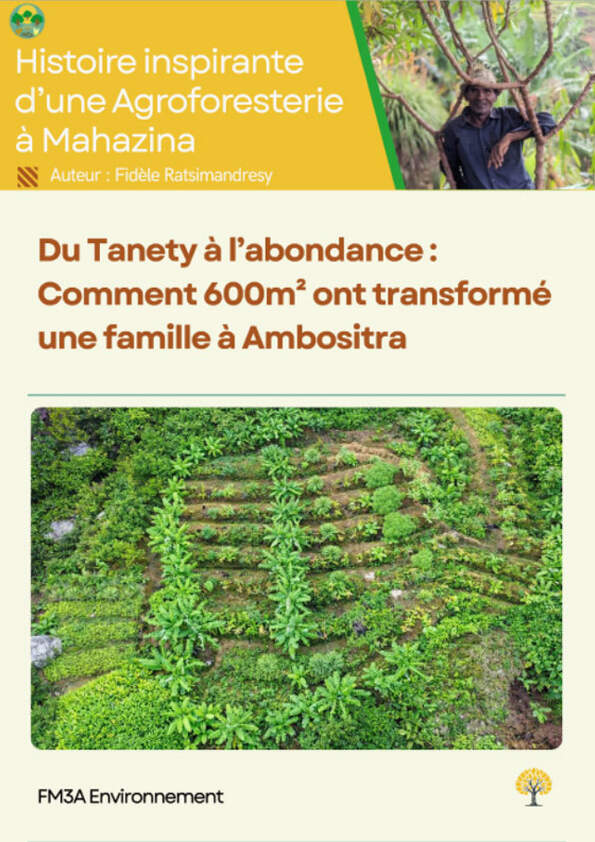 Du Tanety à l’abondance : Comment 600m² ont transformé une famille à Ambositra