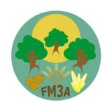 FM3A